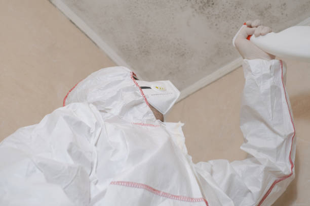 Best Crawl Space Mold Removal  in Riviera Beach, MD